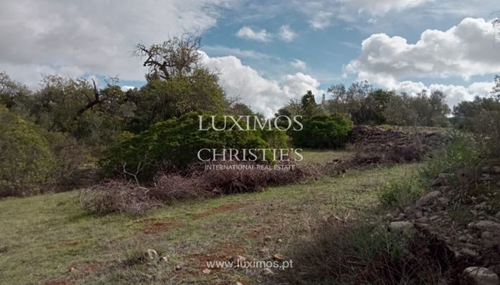 Image No.25-Terre à vendre à Faro City