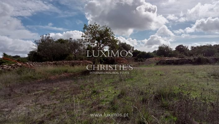 Image No.4-Terre à vendre à Faro City