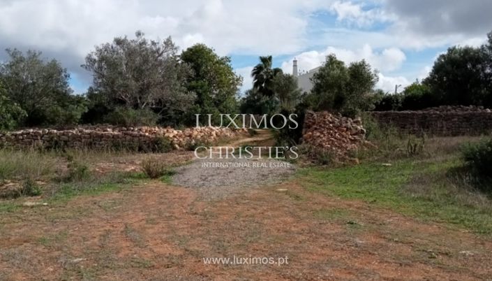 Image No.8-Terre à vendre à Faro City