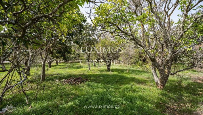 Image No.15-Terre à vendre à Lagos