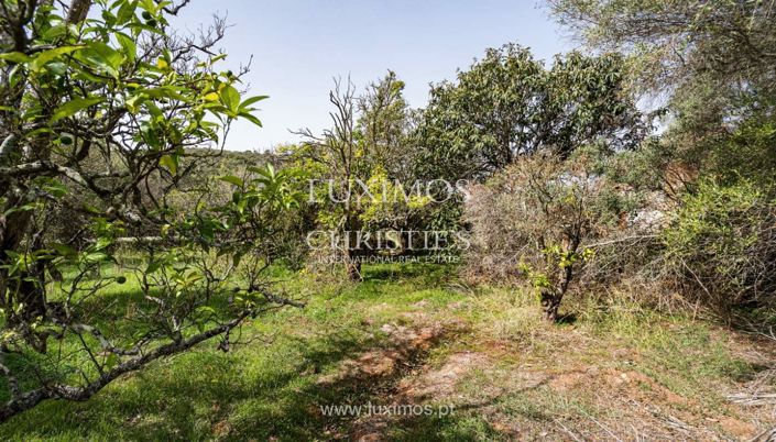 Image No.16-Terre à vendre à Lagos