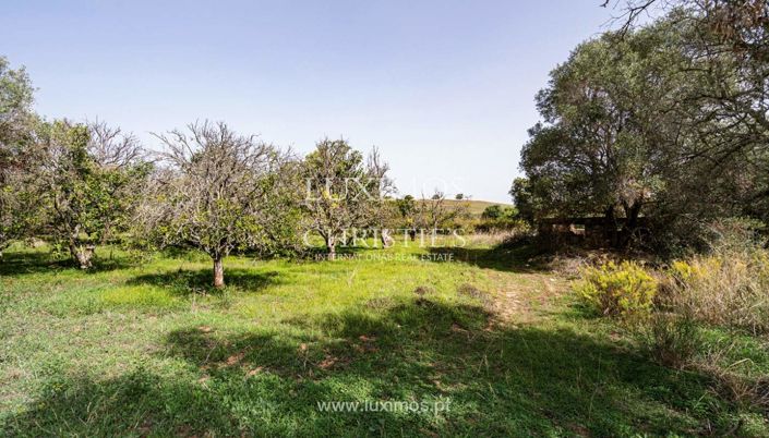 Image No.6-Terre à vendre à Lagos