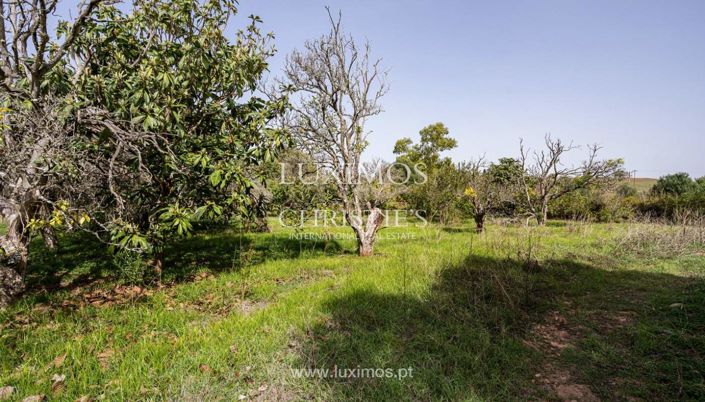 Image No.7-Terre à vendre à Lagos