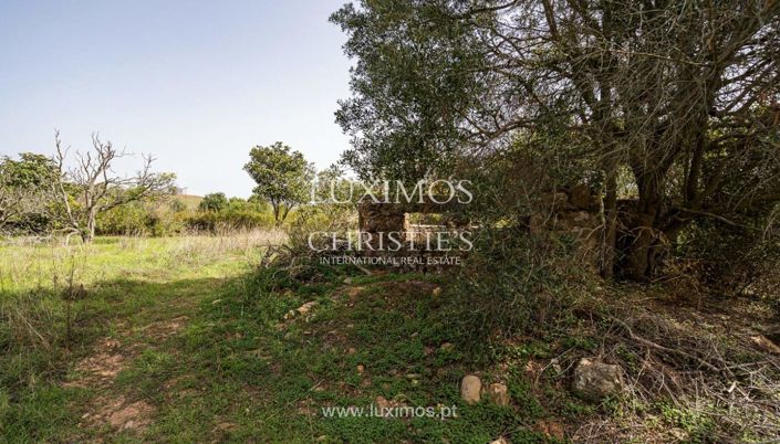 Image No.8-Terre à vendre à Lagos