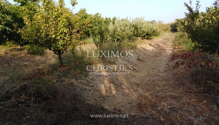 Image No.11-Ferme à vendre à Tavira