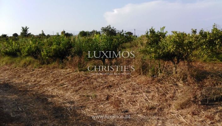 Image No.12-Ferme à vendre à Tavira