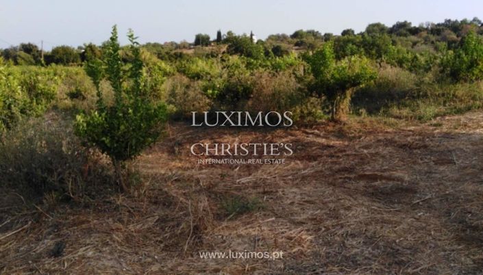 Image No.15-Ferme à vendre à Tavira