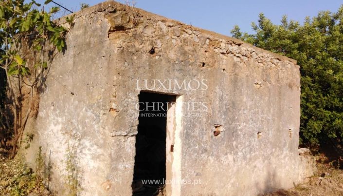Image No.6-Ferme à vendre à Tavira