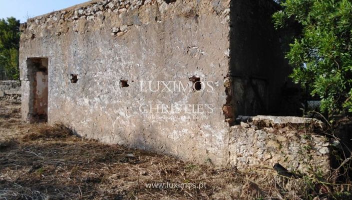 Image No.7-Ferme à vendre à Tavira