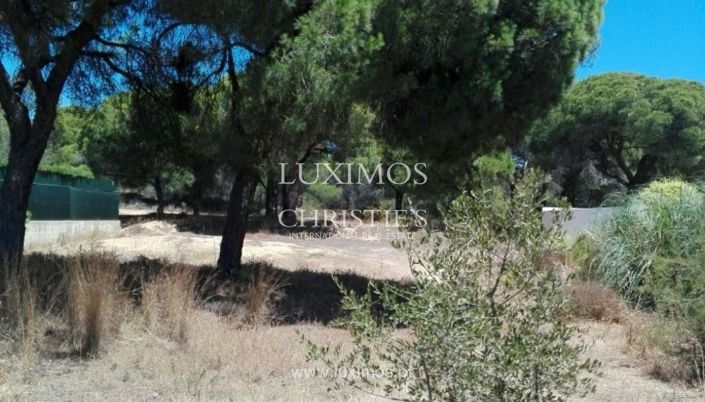 Image No.3-Terre à vendre à Loule