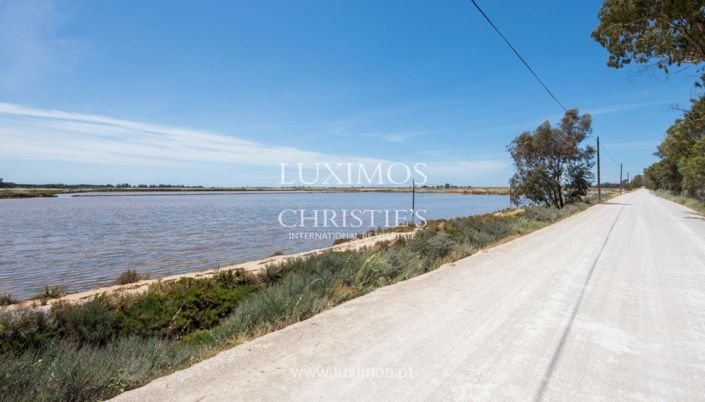 Image No.4-Terre à vendre à Faro City