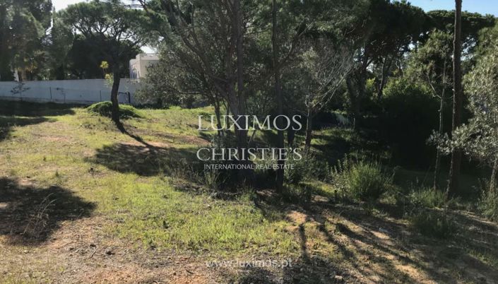 Image No.30-Terre à vendre à Loule