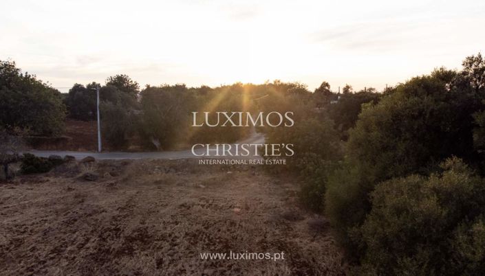 Image No.11-Terre à vendre à Loule