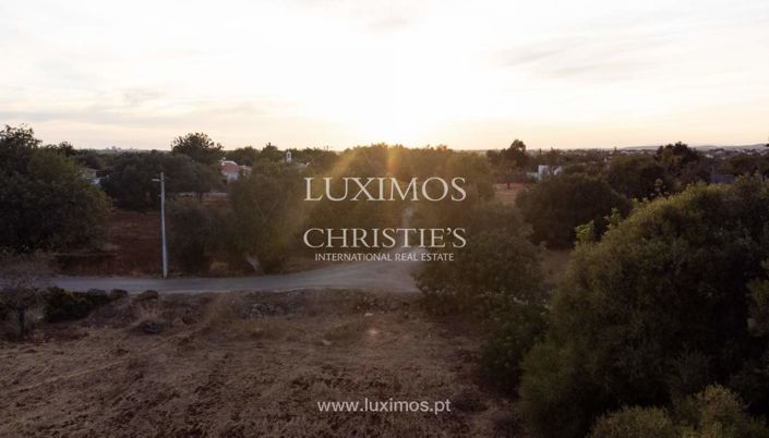 Image No.12-Terre à vendre à Loule