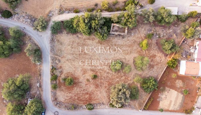 Image No.3-Terre à vendre à Loule