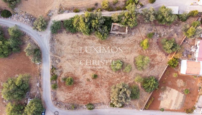 Image No.4-Terre à vendre à Loule