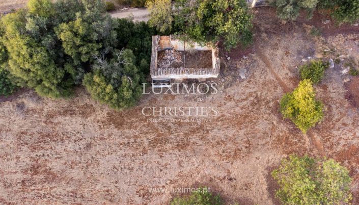 Image No.5-Terre à vendre à Loule