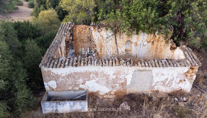 Image No.10-Terre à vendre à Loule