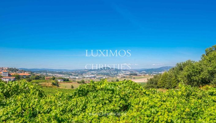 Image No.23-Ferme de 4 chambres à vendre à Santo Tirso