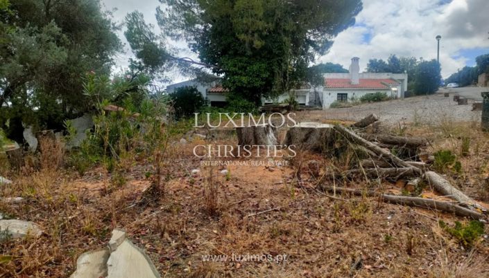 Image No.5-Terre à vendre à Sao Bras de Alportel