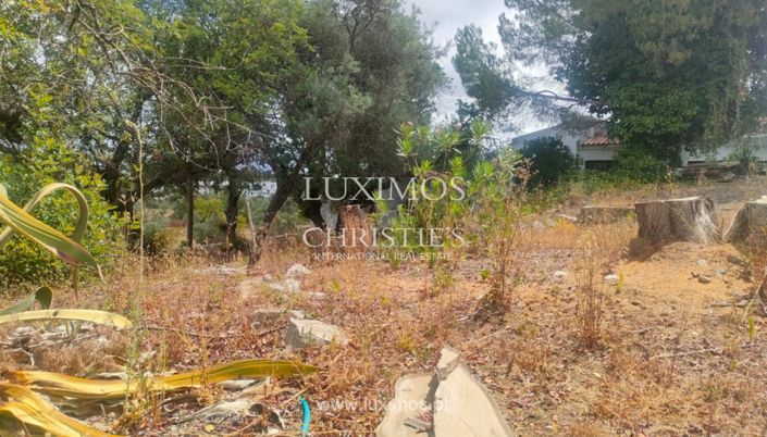 Image No.6-Terre à vendre à Sao Bras de Alportel