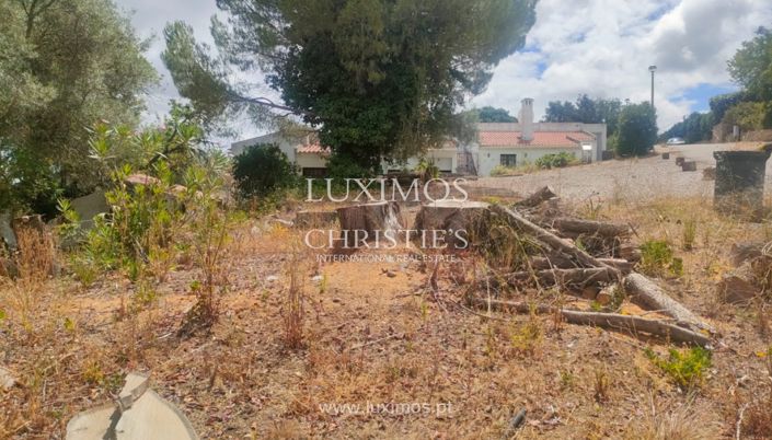 Image No.7-Terre à vendre à Sao Bras de Alportel