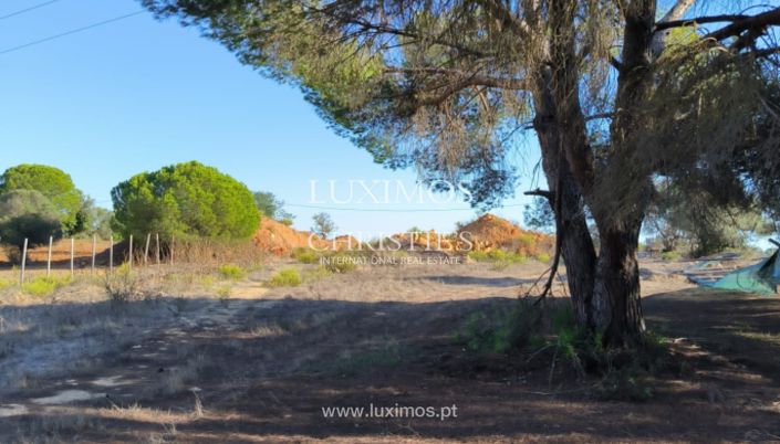 Image No.12-Terre à vendre à Lagoa