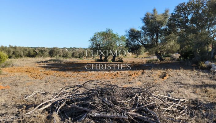 Image No.13-Terre à vendre à Lagoa