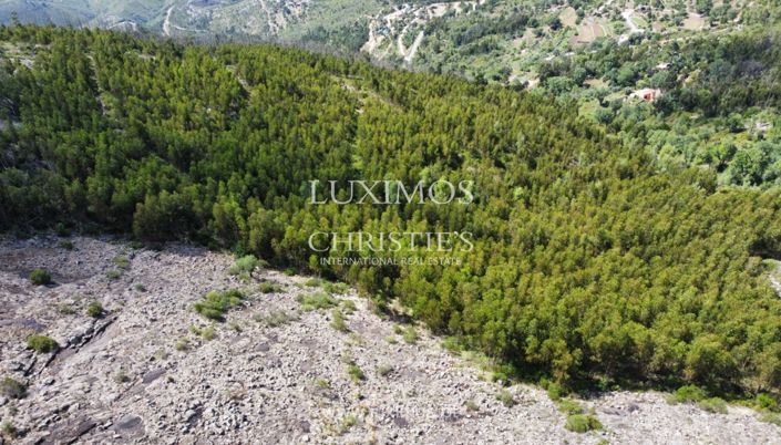 Image No.11-Terre à vendre à Monchique