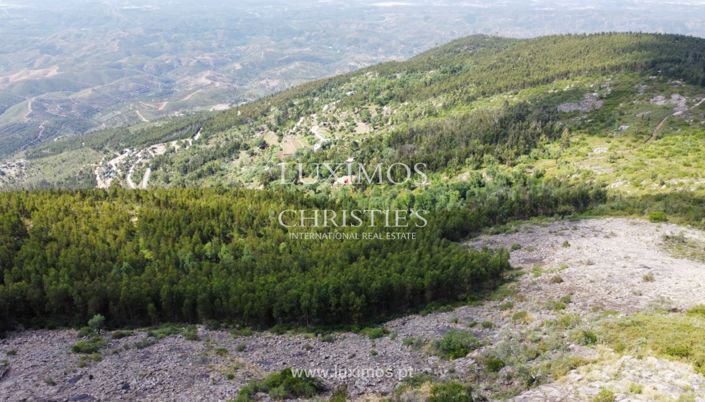 Image No.13-Terre à vendre à Monchique