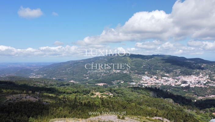 Image No.14-Terre à vendre à Monchique