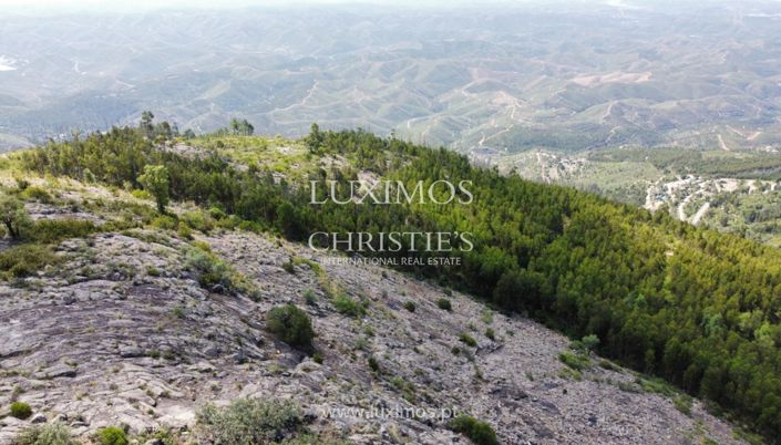 Image No.15-Terre à vendre à Monchique