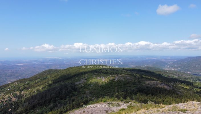 Image No.16-Terre à vendre à Monchique