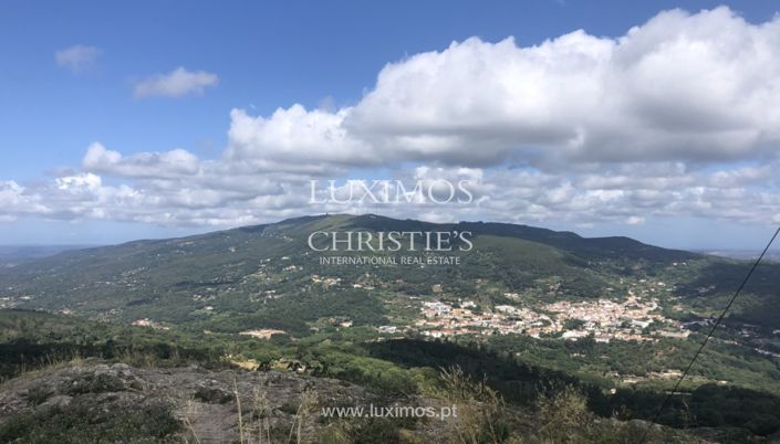 Image No.17-Terre à vendre à Monchique