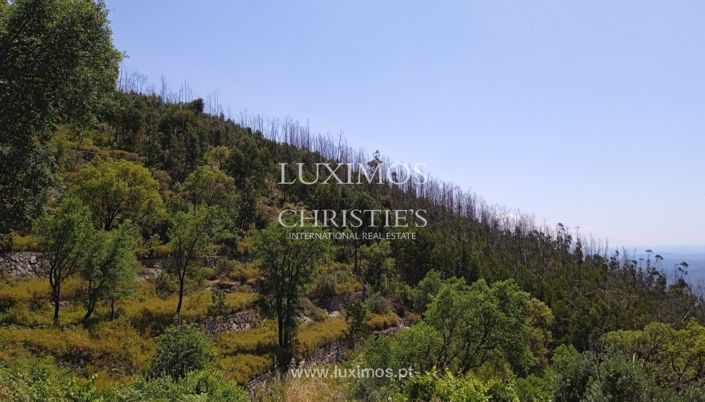 Image No.4-Terre à vendre à Monchique