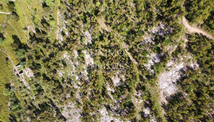 Image No.7-Terre à vendre à Monchique