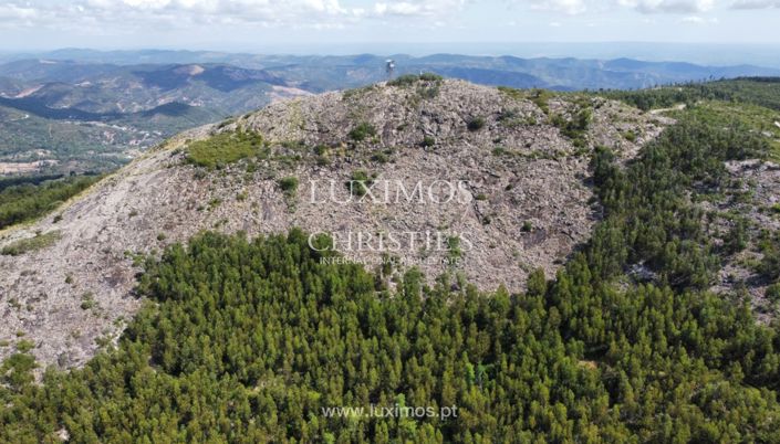 Image No.8-Terre à vendre à Monchique