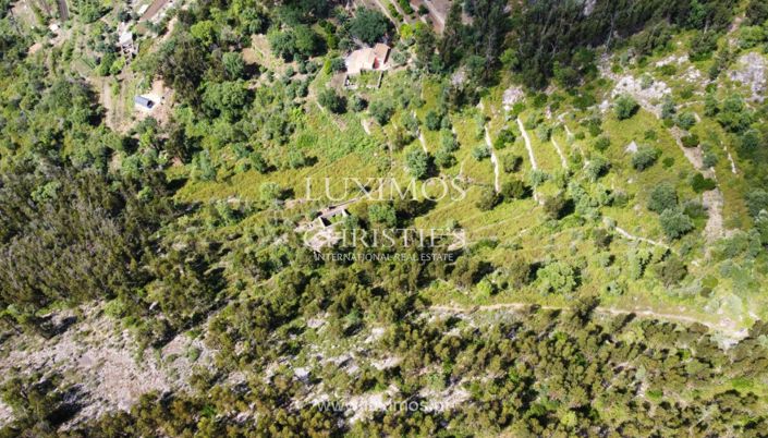 Image No.9-Terre à vendre à Monchique