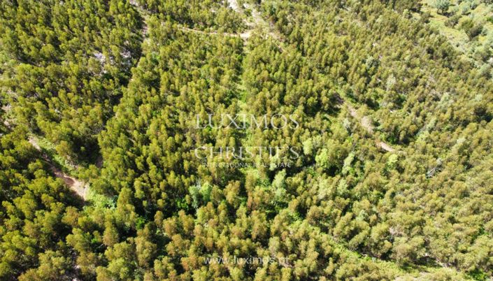 Image No.10-Terre à vendre à Monchique