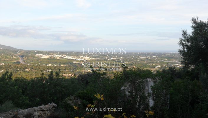 Image No.3-Terre à vendre à Faro City