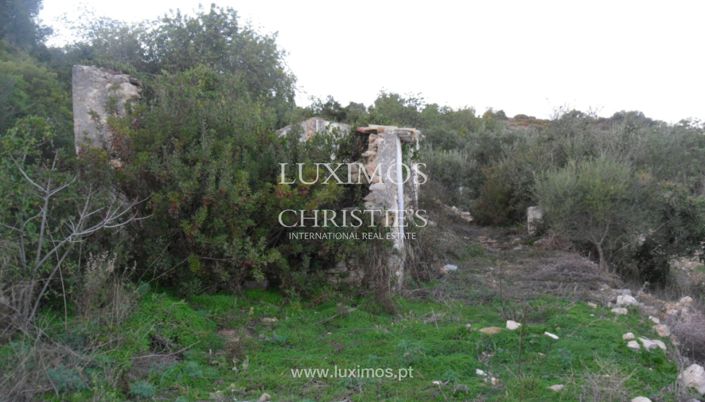 Image No.4-Terre à vendre à Faro City