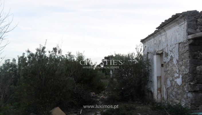 Image No.5-Terre à vendre à Faro City