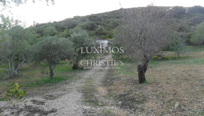 Image No.6-Terre à vendre à Faro City