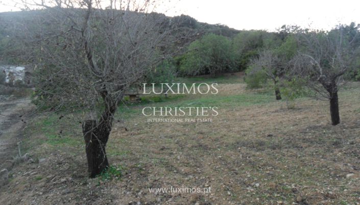 Image No.7-Terre à vendre à Faro City