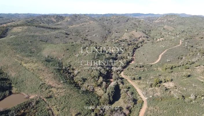 Image No.11-Terre à vendre à Silves