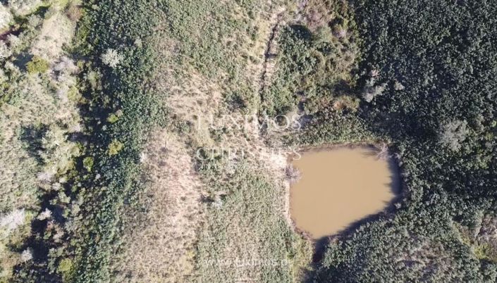 Image No.13-Terre à vendre à Silves