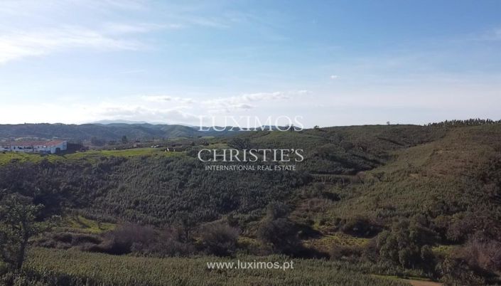 Image No.15-Terre à vendre à Silves