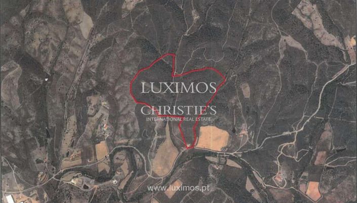 Image No.16-Terre à vendre à Silves