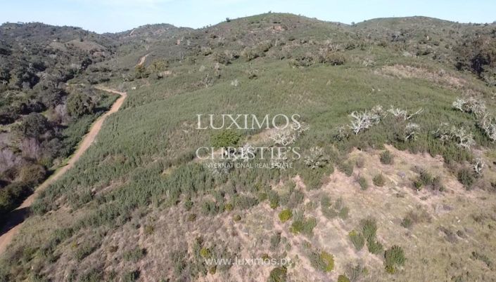 Image No.5-Terre à vendre à Silves