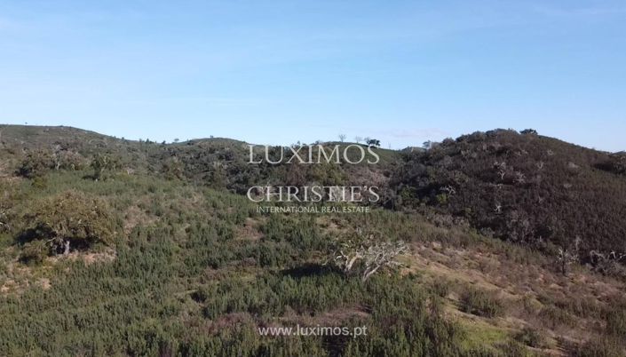 Image No.7-Terre à vendre à Silves